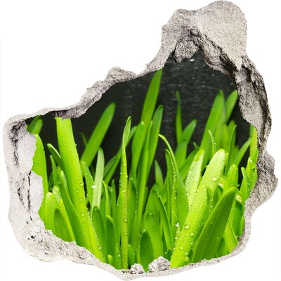 Hole in the wall decal Green paradise behind the wall