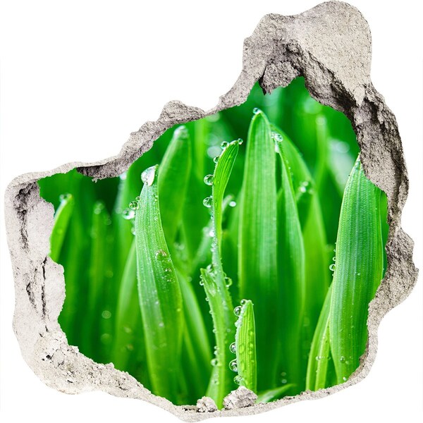 Hole wall sticker Green meadow with drops of water