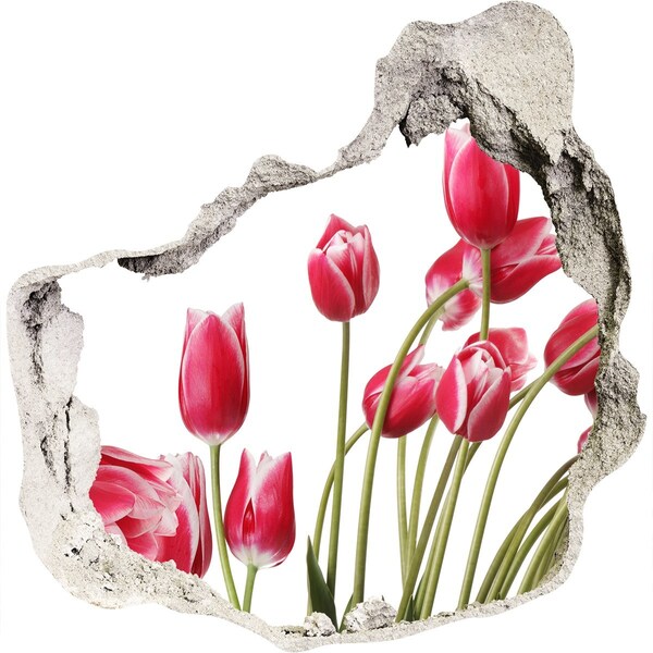 3D wall hole Floral explosion in concrete