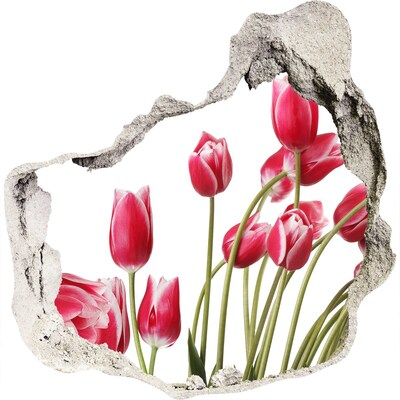 3D wall hole Red tulips