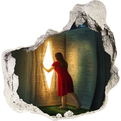 3D wall hole A Hole in Reality