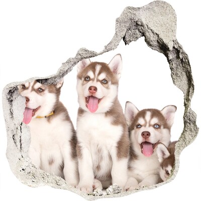 Hole wall sticker Husky puppies behind a hole in the wall