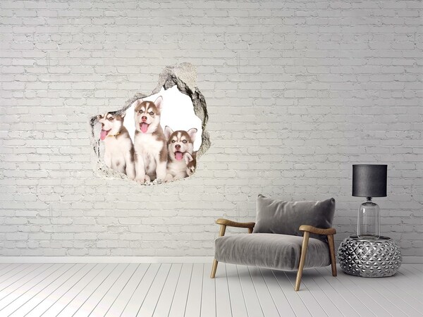 Hole wall sticker Husky puppies behind a hole in the wall