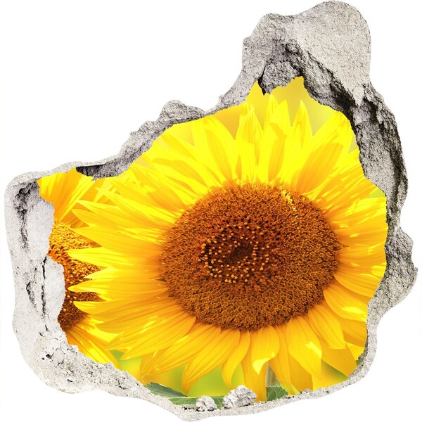 Hole wall sticker Sunflower in concrete