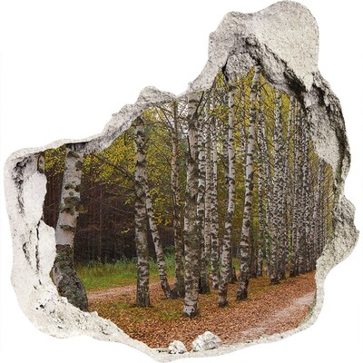 Hole wall sticker Forest alley among birches
