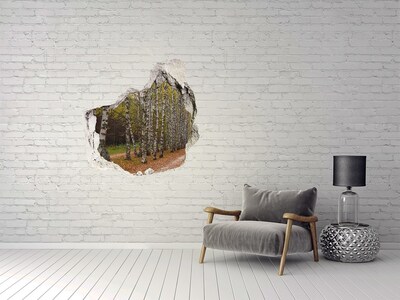 Hole wall sticker Forest alley among birches
