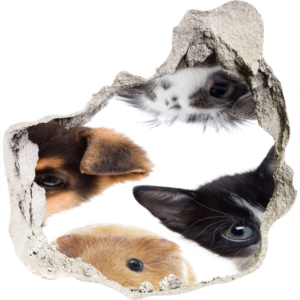 Hole in the wall sticker Pets