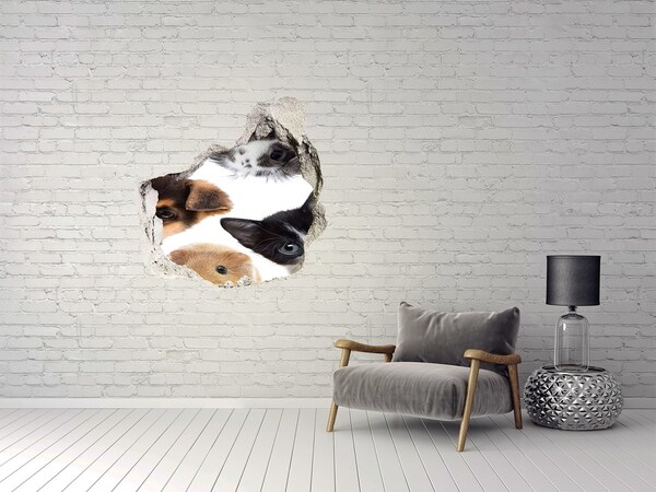 Hole in the wall sticker Animal Voyeurs