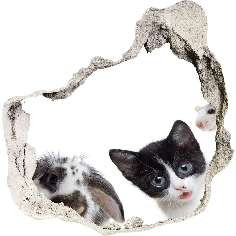 Hole wall sticker Pets