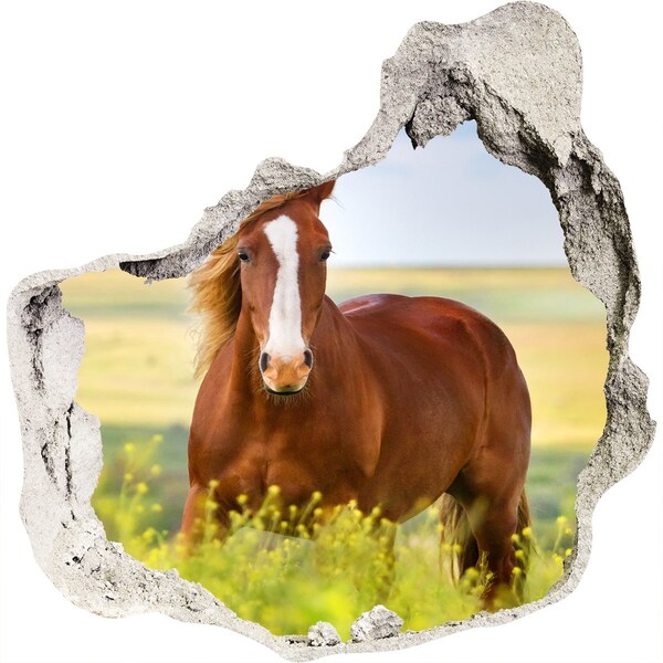 Hole in the wall decal Brown horse