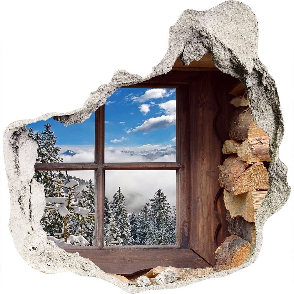 Hole in the wall decal Winter outside the window