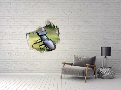 Hole in the wall decal Beetle