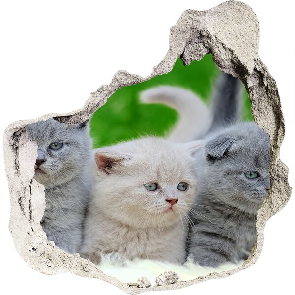 Hole wall sticker Three cats on the blanket