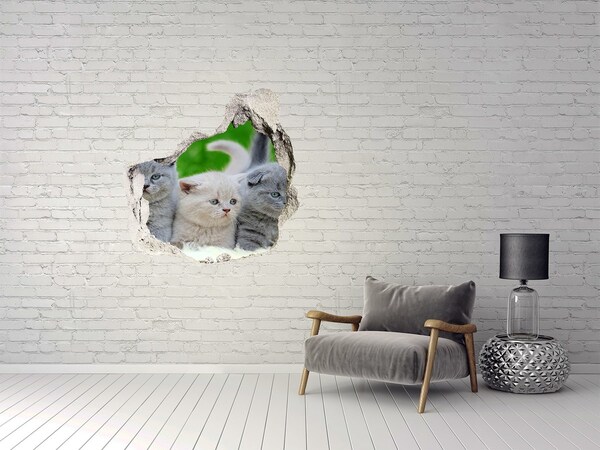 Hole wall sticker Kittens in a hole in the wall