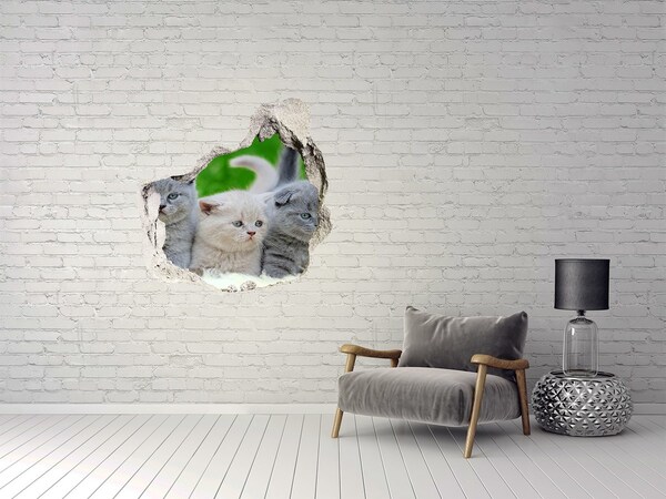 Hole wall sticker Three cats on the blanket