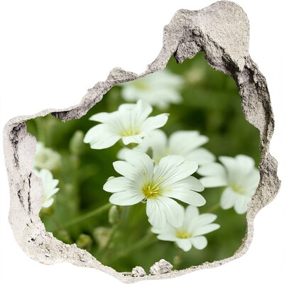 Hole wall sticker Spring flowers