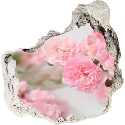 3D wall hole wallpaper A flower paradise behind the wall