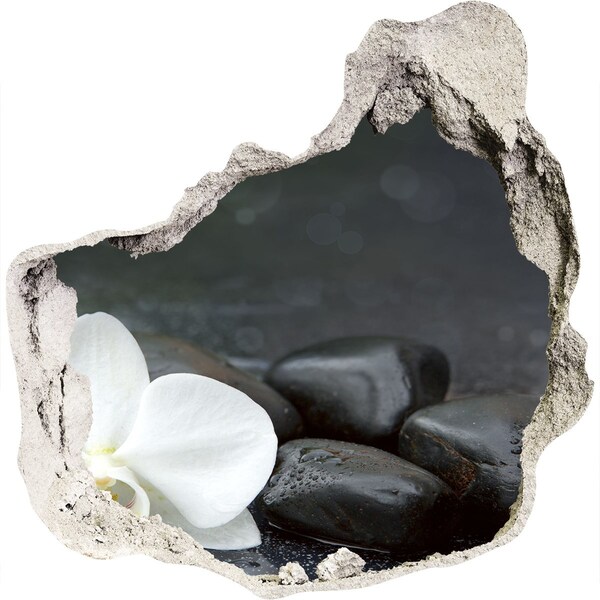 Hole wall sticker Orchid