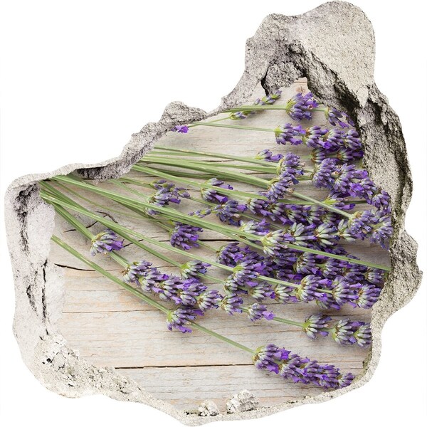 Hole in the wall decal Lavender in a pot