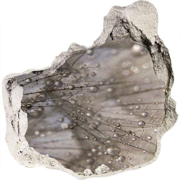 Hole in the wall sticker Water drops on glass