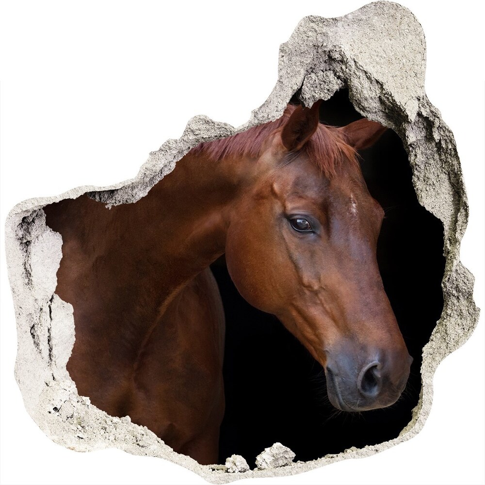 Hole in the wall decal Brown horse