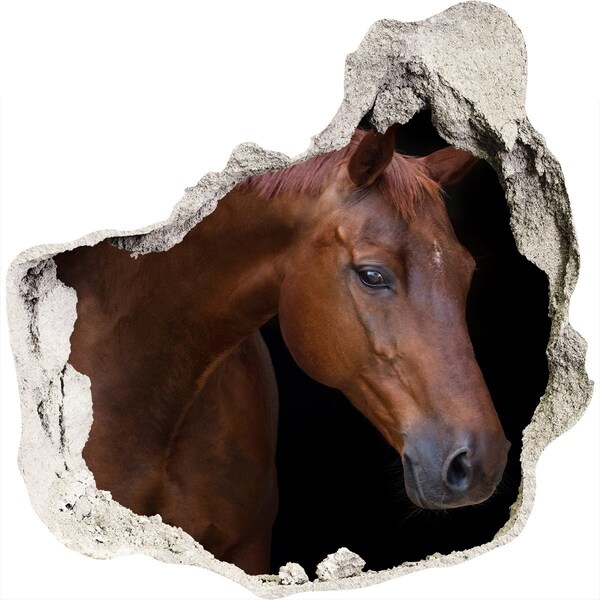 Hole in the wall decal A horse in a broken wall