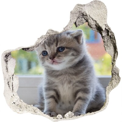 3D wall hole wallpaper Kitten in a hole in the wall