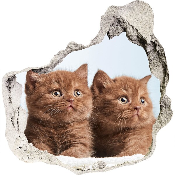 Hole wall sticker Kittens behind the wall