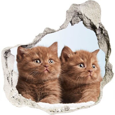 Hole wall sticker Kittens behind the wall