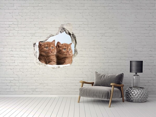 Hole wall sticker Kittens behind the wall