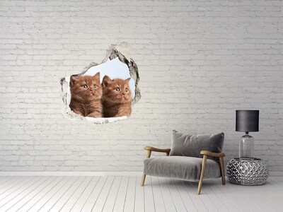 Hole wall sticker Kittens behind the wall