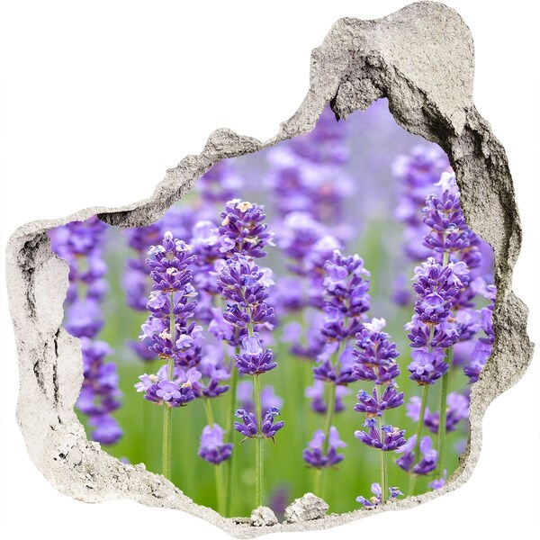 3D wall hole wallpaper Lavender