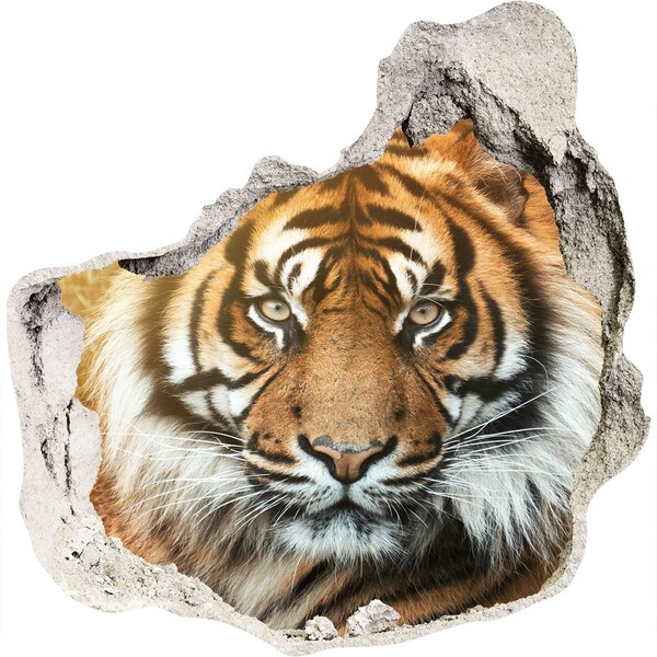Hole in the wall sticker Tiger in a Hole in the Wall
