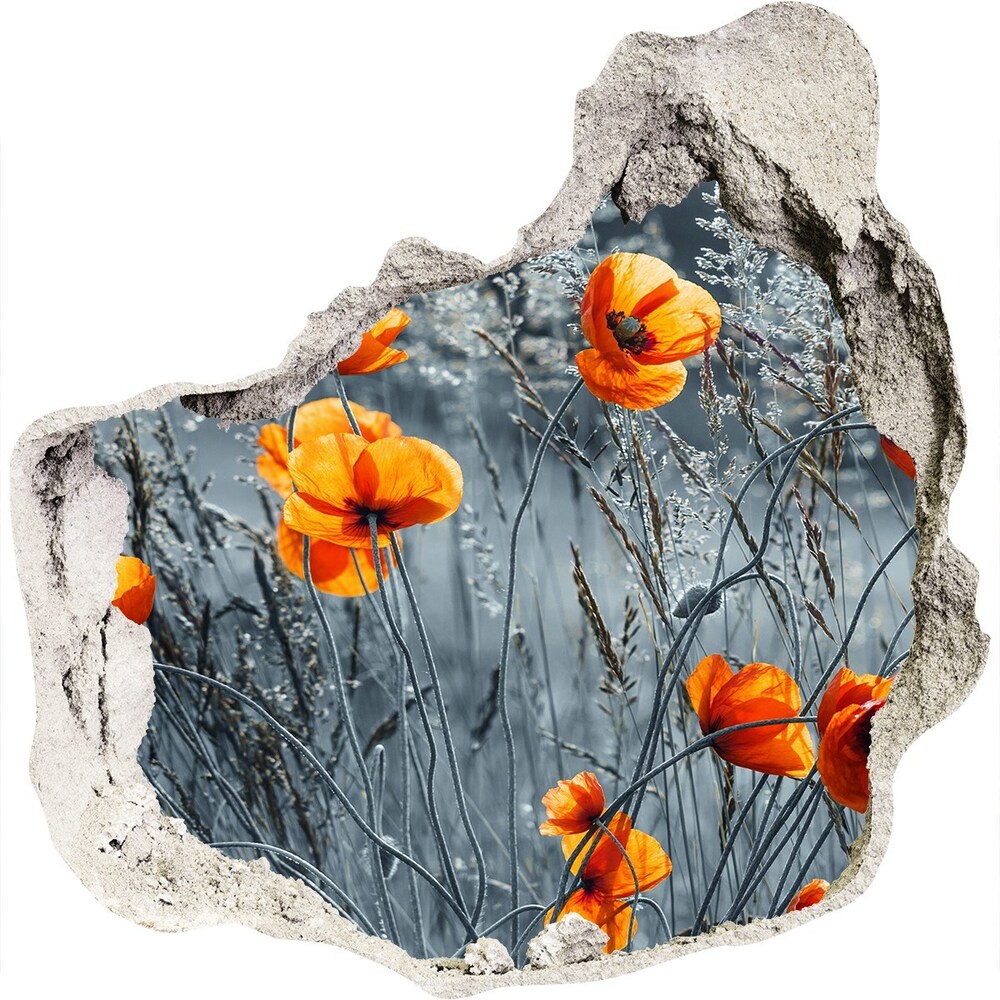 Hole in the wall sticker Field poppy seed