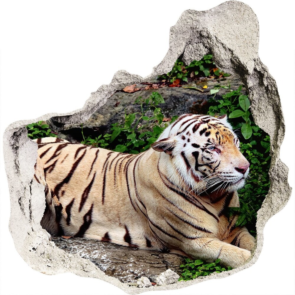 Hole wall sticker Tiger on the rock