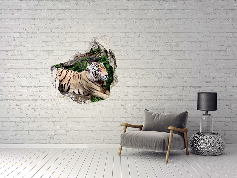 Hole wall sticker Tiger on the rock