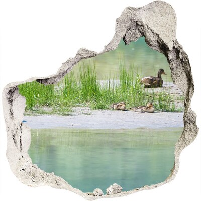 Hole wall sticker Pond with ducks