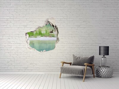 Hole wall sticker Pond with ducks