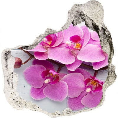 Hole wall sticker Orchid on wood