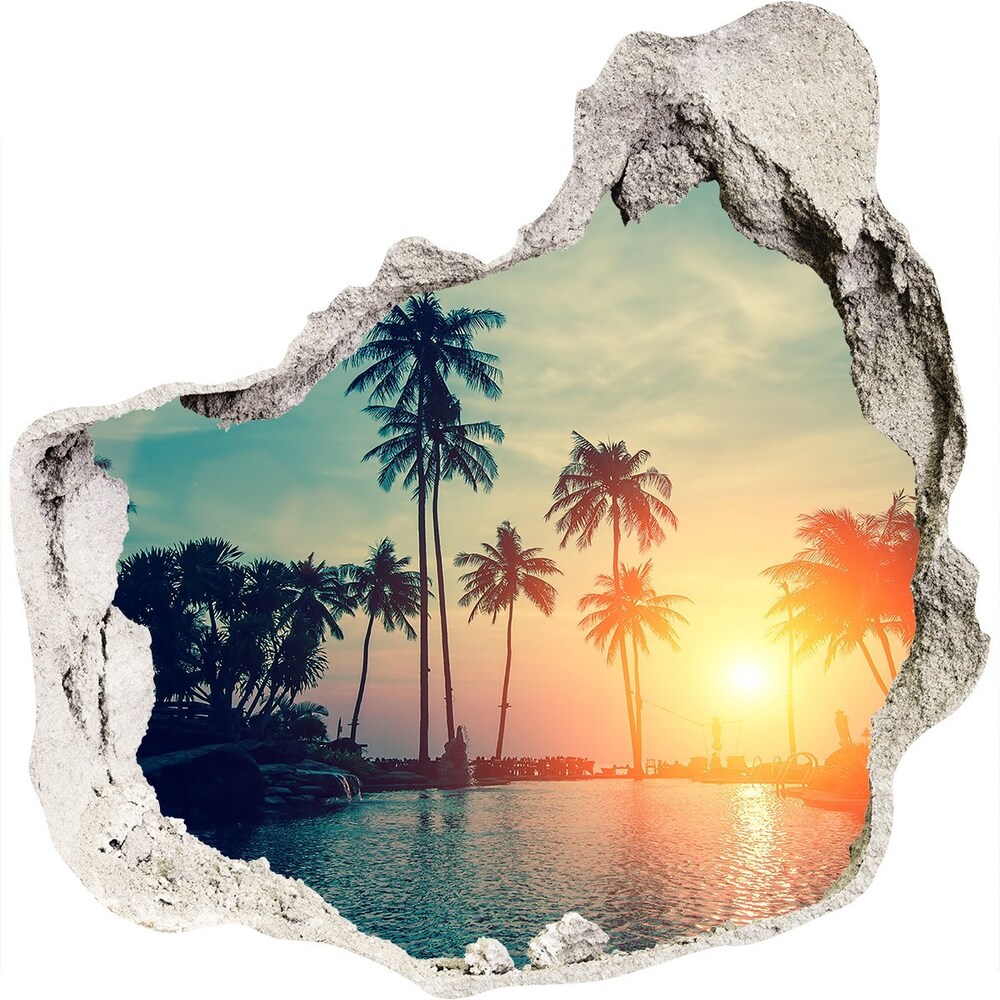 Hole in the wall sticker Sunset palm trees