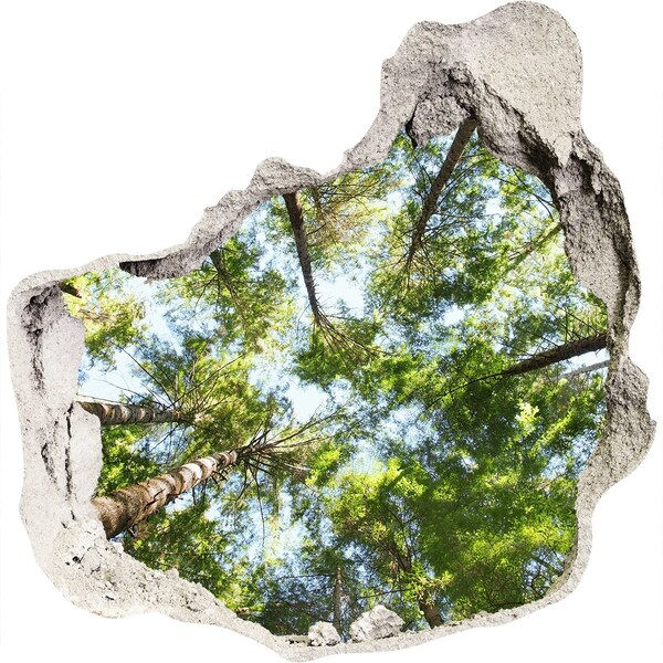 Hole wall sticker View of the forest with blue sky