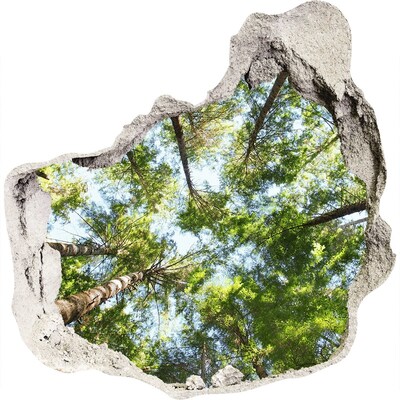 Hole wall sticker View of the forest with blue sky