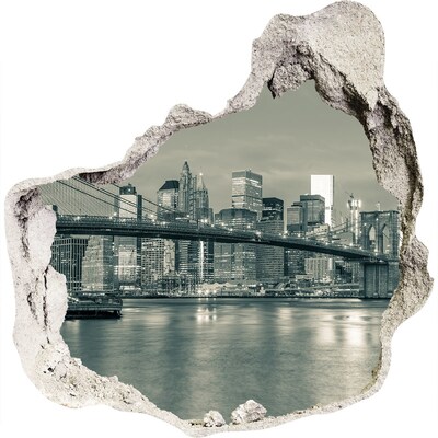 Hole wall sticker View of New York