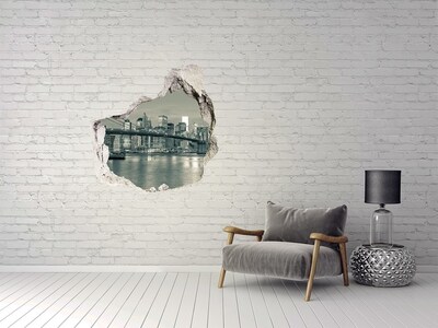 Hole wall sticker View of New York