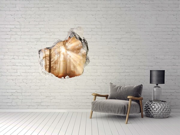 Hole wall sticker Forest Pass of the Sun