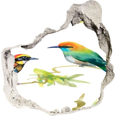 Hole in the wall sticker Exotic birds