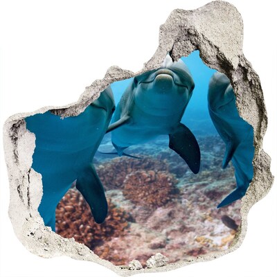 Hole in the wall decal Dolphins in a coral reef