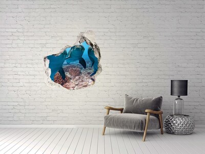 Hole in the wall decal Dolphins in a coral reef