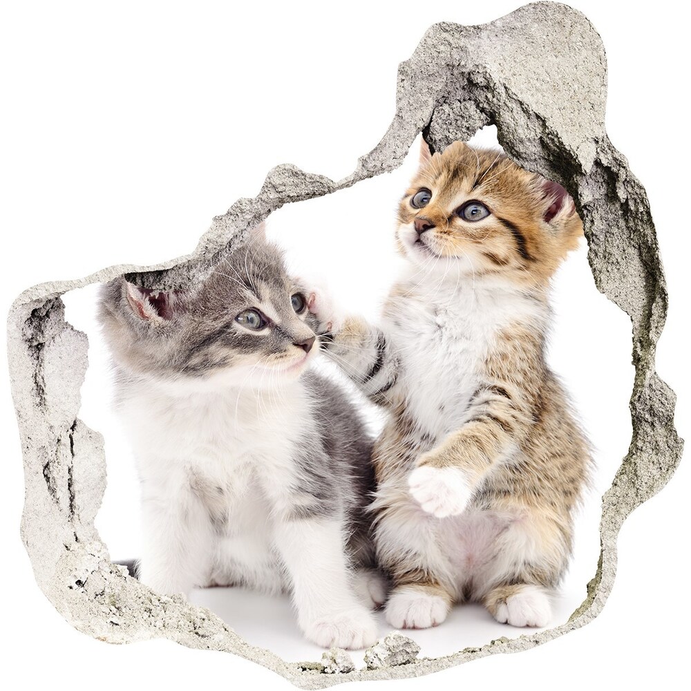 3D wall hole wallpaper Two little cats