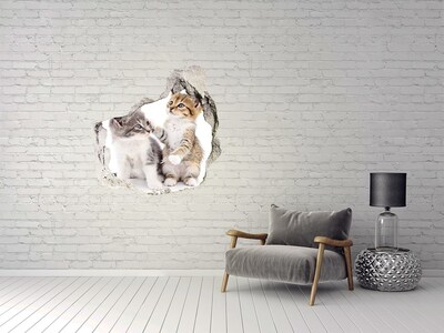 3D wall hole wallpaper Two little cats